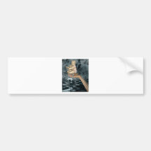 INHERITANCE BUMPER STICKER