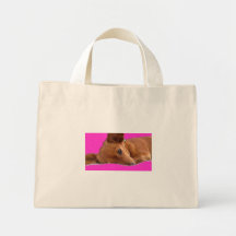 Inki The Chihuahua Bag