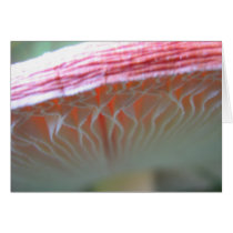 Inner beauty card
