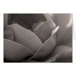 Inner Beauty cards