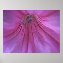 Inner Petunia Print
