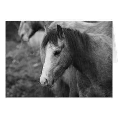 Innocence by CatMac Greeting Card by perfectgifts8