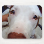 Innocence mousepads