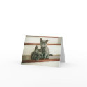 Innocence Note Card