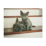 Innocence Postcard