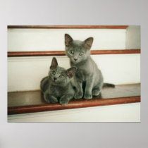 Innocence Poster Print