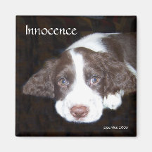 Innocence - Puppy Love Fridge Magnet