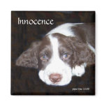 Innocence - Puppy Love magnets