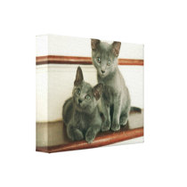 Innocence Wrapped Canvas Print