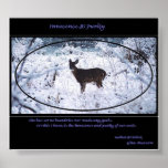 innocense & purity posters