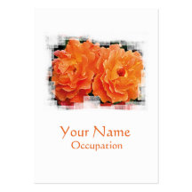 Innocent Orange Business Card Templates
