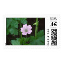 Innocent postage