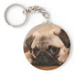 " Innocent " Pug keychains