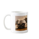 " Innocent " Pug mugs