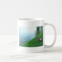 Inquisitive Duck Mugs