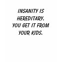 Insanity is hereditary. You get it from your kids. t-shirts