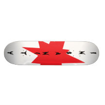 insanity skate team deck skate boards