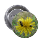 Insect Wasp Button