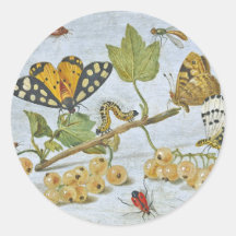 Insects Crawling Stickers
