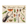Insects - earth's most diverse organisms