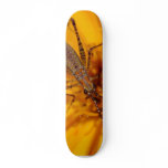 Insects On Big Orange Flower Macro skateboards