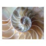 Inside Nautilus Announcement