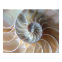 Inside Nautilus Announcement