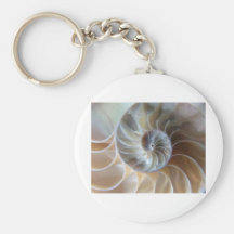 Inside Nautilus Keychain