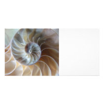 Inside Nautilus Photo Card
