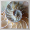 Inside Nautilus posters