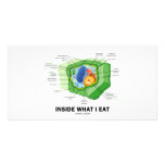 Inside What I Eat (Plant Cell Vegetarian Humour) photo cards