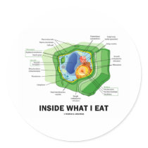 Inside What I Eat (Plant Cell Vegetarian Humour)