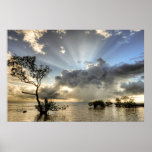 Inspirational and Calming Poster