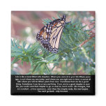 Inspirational Gifts Life Changes magnets
