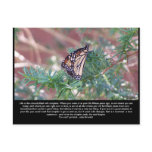 Inspirational Gifts Life Changes postcards