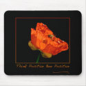 INSPIRATIONAL MOUSE PAD 10B mousepads