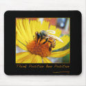 INSPIRATIONAL MOUSE PAD 10Q mousepads