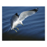 Inspire 8x10 Photo