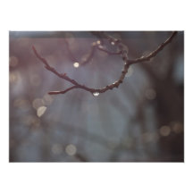 Inspiring Sunshine Art Photo