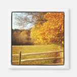 instagram photo magnet