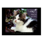 Instinct Life Lessons From a Cat ACEO Art Cards business cards