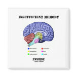 Insufficient Memory Inside (Anatomical Brain) magnets