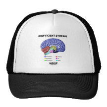 Insufficient Storage Inside (Brain Anatomy Humour) Hats