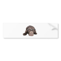 Intelligent Labrador Bumper Sticker