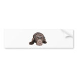 Intelligent Labrador bumper stickers
