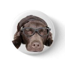 Intelligent Labrador Button