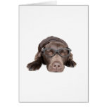 Intelligent Labrador cards
