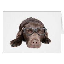Intelligent Labrador Card