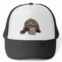 Intelligent Labrador Hats