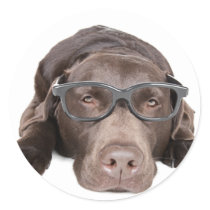 Intelligent Labrador Round Sticker